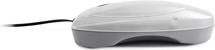 Productafbeelding Intex LED-licht
