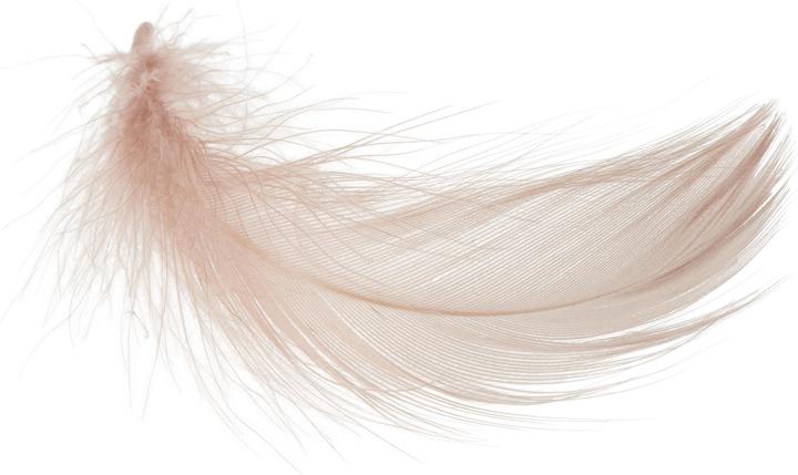Produktbild VBS Gänsefedern, 20 g