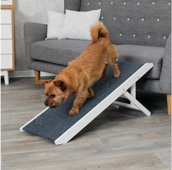 Produktbild Trixie Klapp-Rampe (Hund, Faltbar)