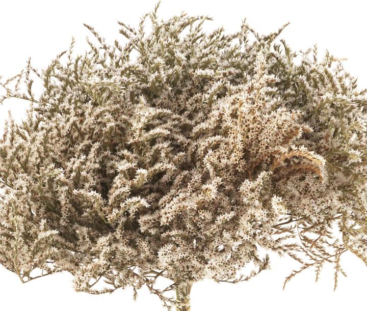 Actual product image Geschenkkörbe CH Limonium, Statice tatarica dried flowers, natural white (Dried flowers)