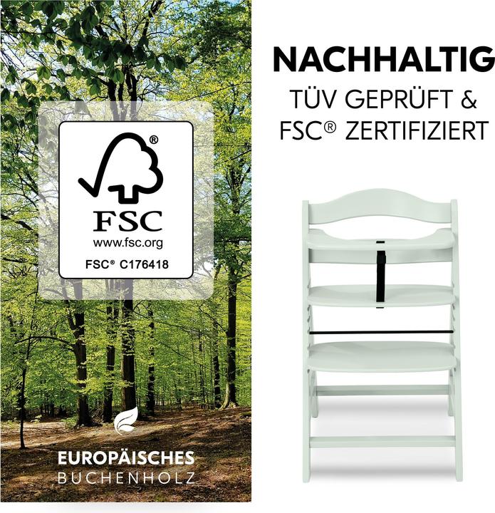Produktbild Hauck Alpha+ Mint (Hochstuhl)