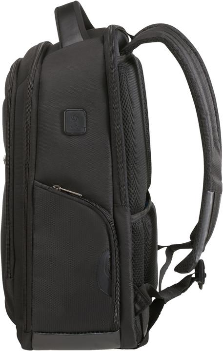 Image du produit Samsonite Vectura Evo (15.60")