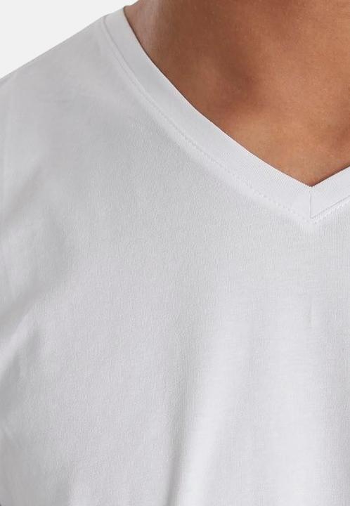 Actual product image Blend BHBHDinton V-neck tee 2-pack 701996 (L)