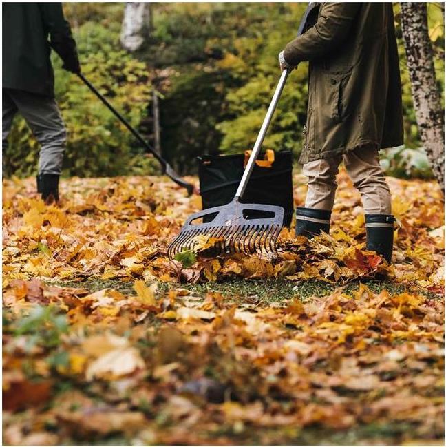 Actual product image Fiskars Xact