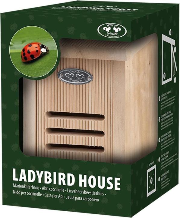 Esschert Design Coccinella