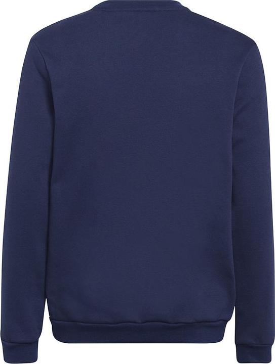 Actual product image adidas Entrada 22 sweatshirt kids (152)