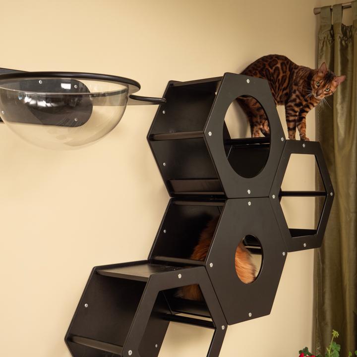 Produktbild Wowhelperco Kletterwand für Katzen 8-teilig (Schwarz)