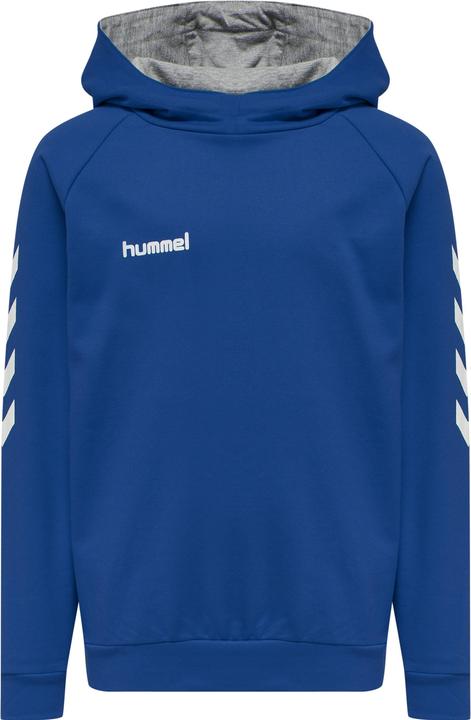 Image du produit hummel Go Kids Hoodie En Coton (140)