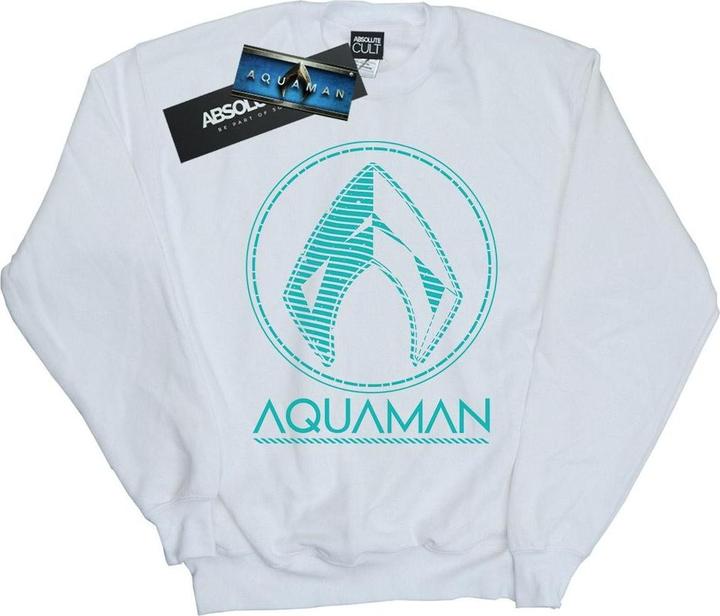 Jungen Aquaman Aqua Logo Sweatshirt