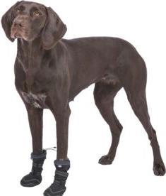 Image du produit Trixie Walker Active Bottes de protection longues, S, 2 pcs, noir (S, Chaussures pour chien)