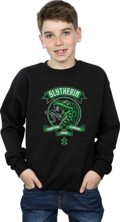 Actual product image Boys Slytherin Toon Crest Sweatshirt (152, 158)