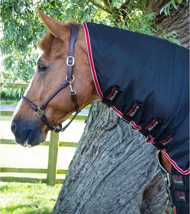 Immagine prodotto Premier Equine Coperta asciugante per cavalli con copricollo (183 cm)