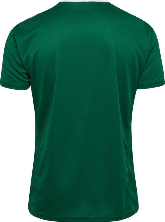 Image du produit hummel Authentic Kids Poly Jersey S/S (176)