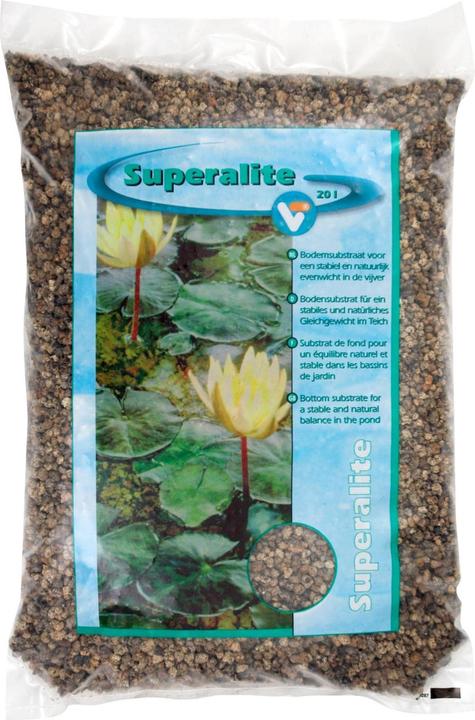 Fointane + bassin de jardin
