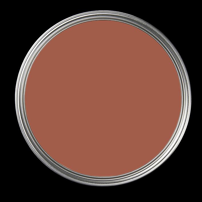 Cacao 104
