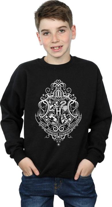 Image du produit - Sweat HOGWARTS DRACO DORMIENS CREST - Garçon (140, 146)