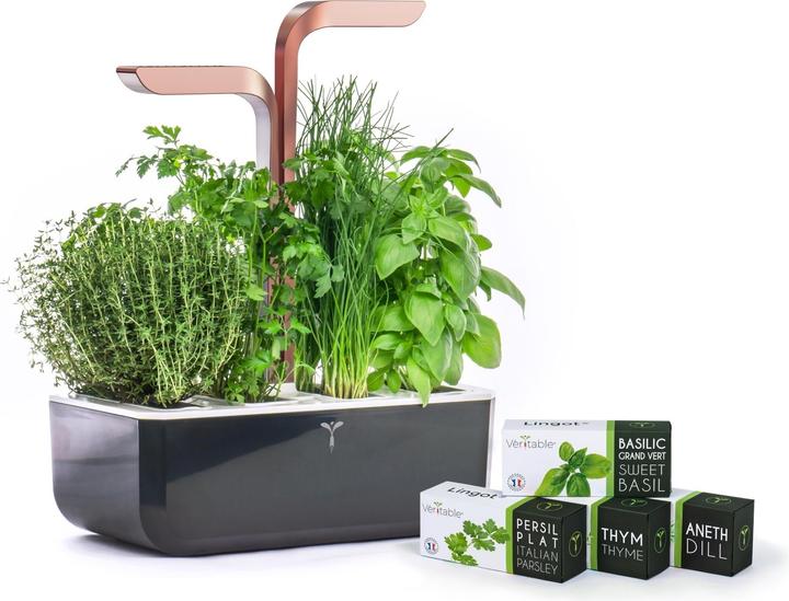 Actual product image Véritable Smart (18.50 cm)