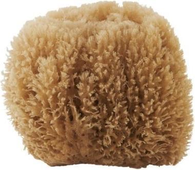 Actual product image Meraki Bahamas