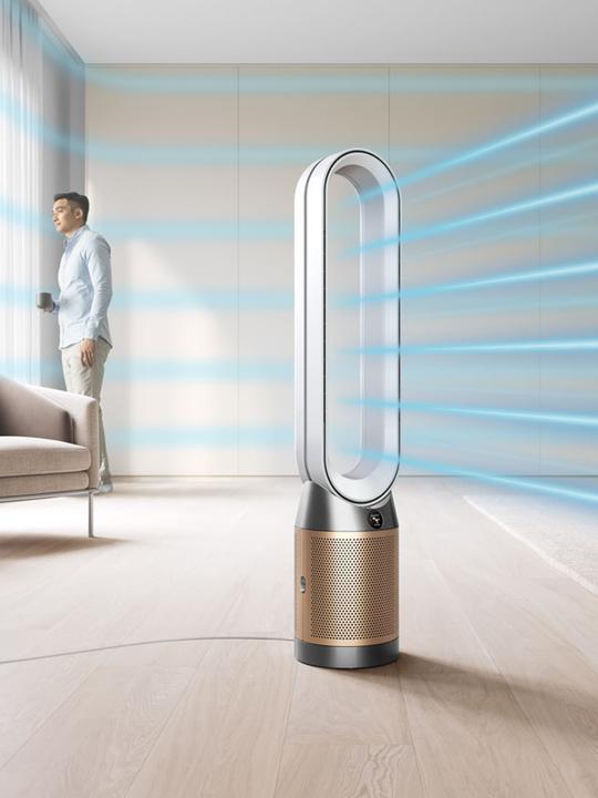Actual product image Dyson Purifier Cool PC2 De-NOx