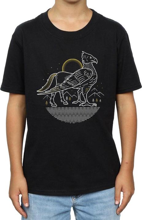 Actual product image Boys Buckbeak Line Art T-Shirt (152, 158)