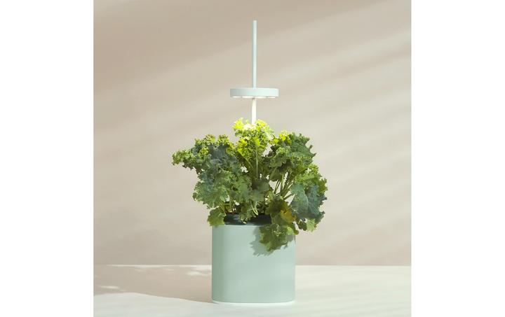 Immagine prodotto Prêt à Pousser Herb Pot Nano, Verde Celadon (13.50 cm)