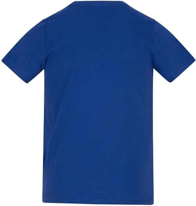 Actual product image Awdis Childrens/Kids T-Shirt (164, 170)