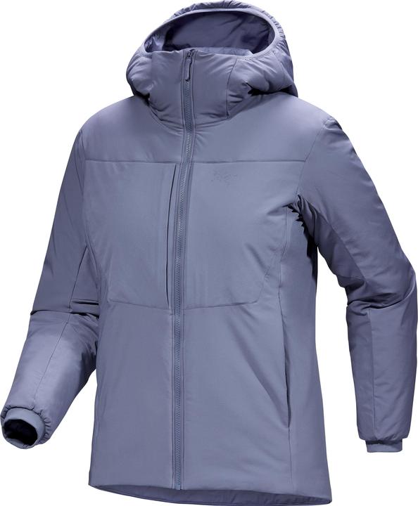 Arc'teryx Proton Heavyweight Hoodie (L)