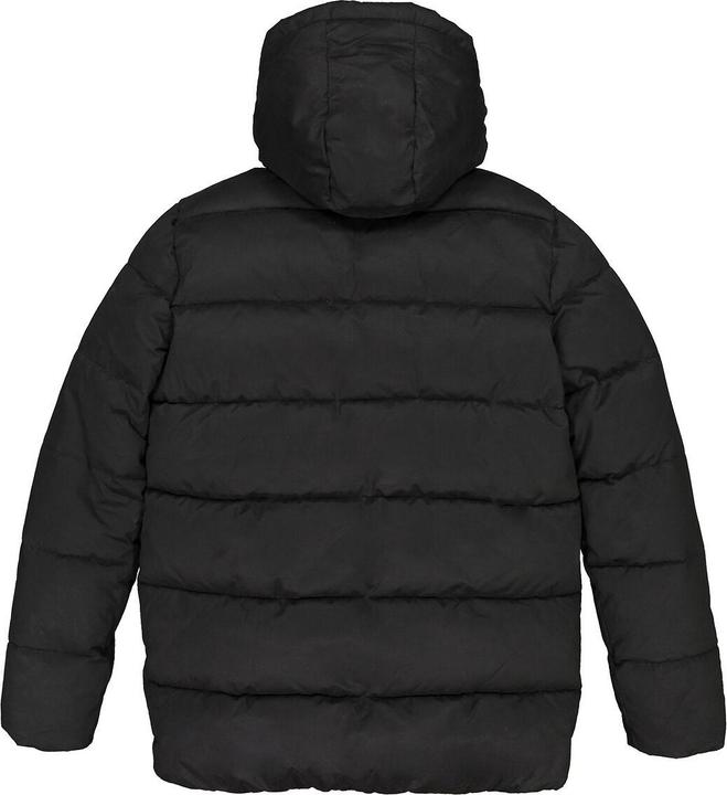 Image du produit La Redoute Collections Veste matelassée chaude avec capuche (164)