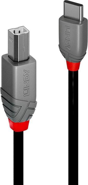 Produktbild Lindy USB C — USB B (2 m, USB 2.0)