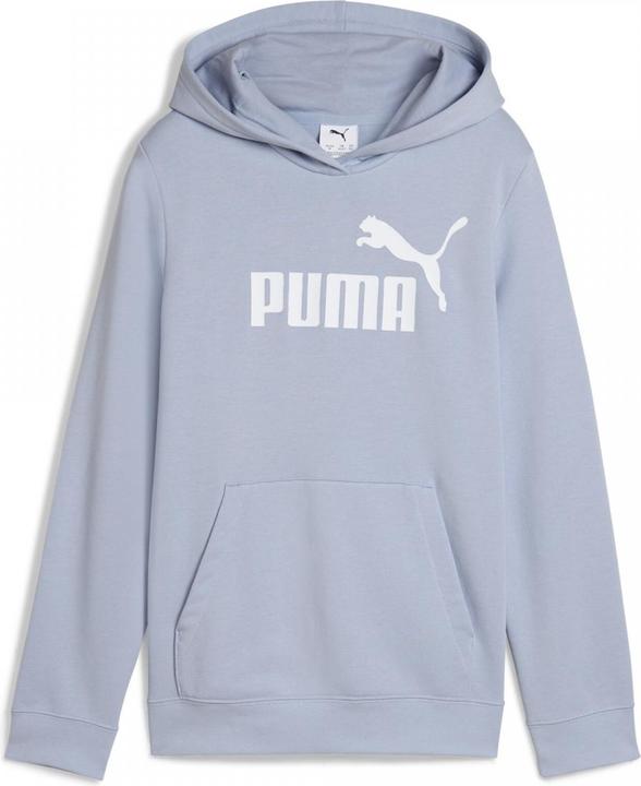 Actual product image Puma ESS No. 1 Logo Hoodie TR G (164)