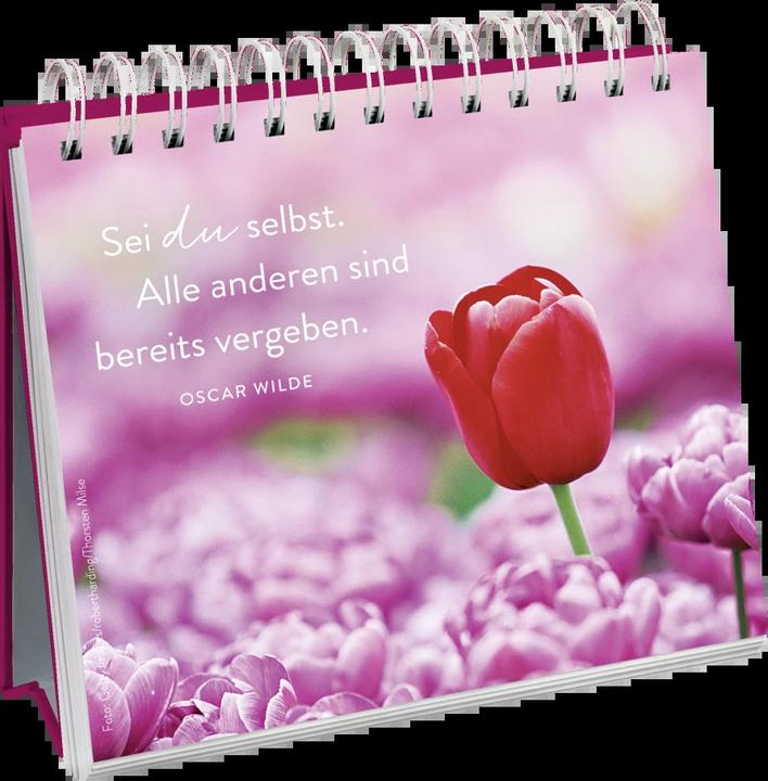 Produktbild 100 kleine Herzenswünsche für dich (Deutsch, Groh Verlag, 2017)