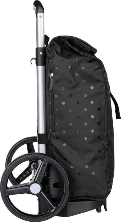Image du produit reisenthel citycruiser glossy dots black