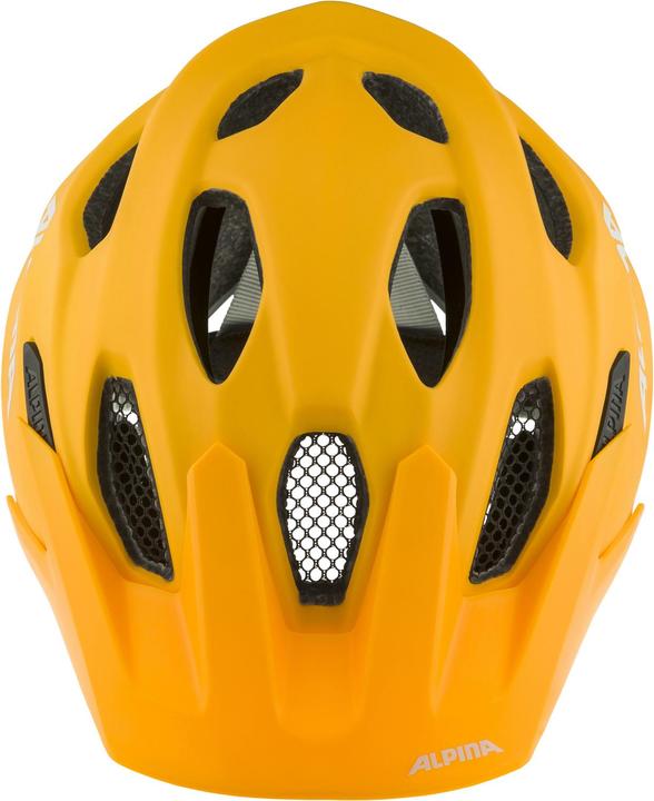 Actual product image ALPINA SPORTS Carapax JR (51 - 56 cm)