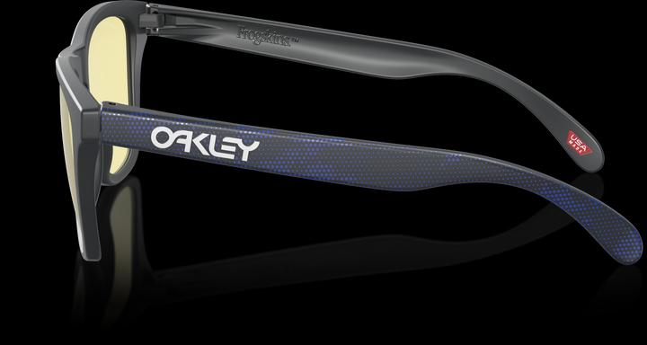Actual product image Oakley Frogskins