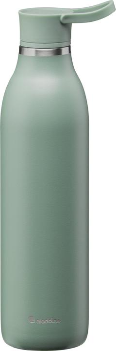 Actual product image Aladdin CityLoop Thermavac eCycle Drink Bottle 0.6L Sage Green (0.60 l)