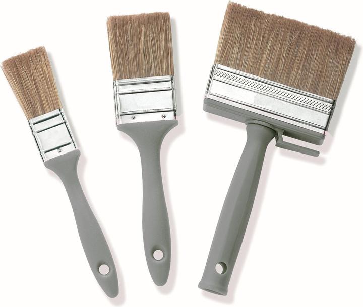 Color Expert Set di pennelli univ 3 pz (100 mm)