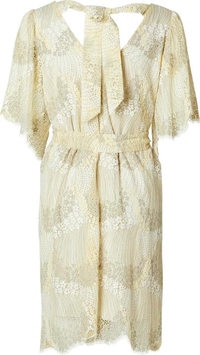 Actual product image Selected Femme Lace mini dress (40)