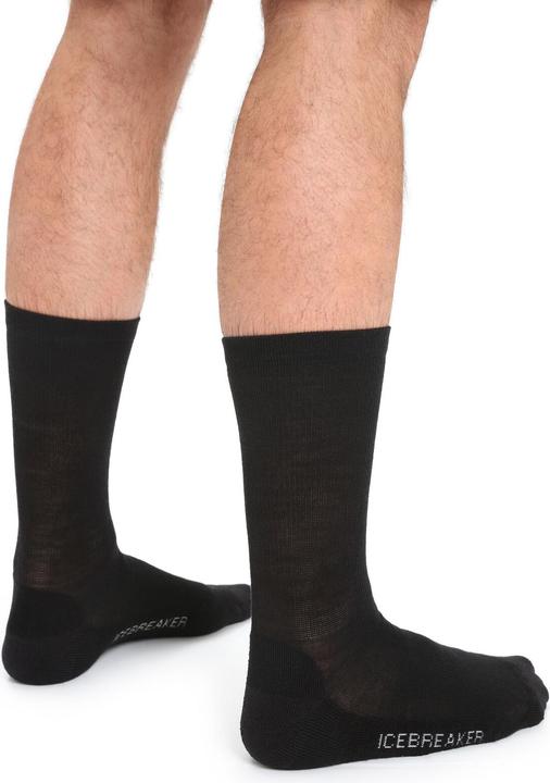 Actual product image Icebreaker Lifestyle Light Crew (44.5 - 46.5)