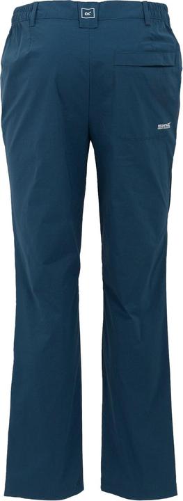 Actual product image Regatta Mens Highton II Hiking Trousers (40)
