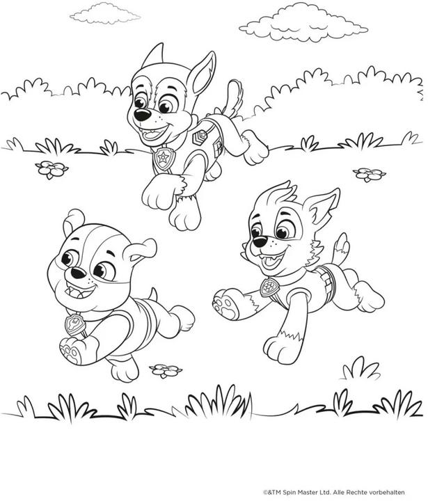 Image du produit Paw Patrol