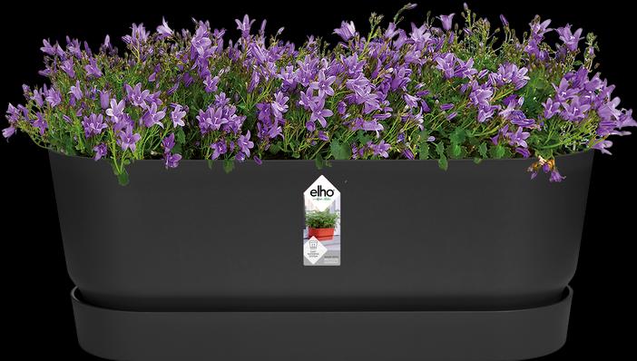 Produktbild Elho Blumenkasten (19 cm)