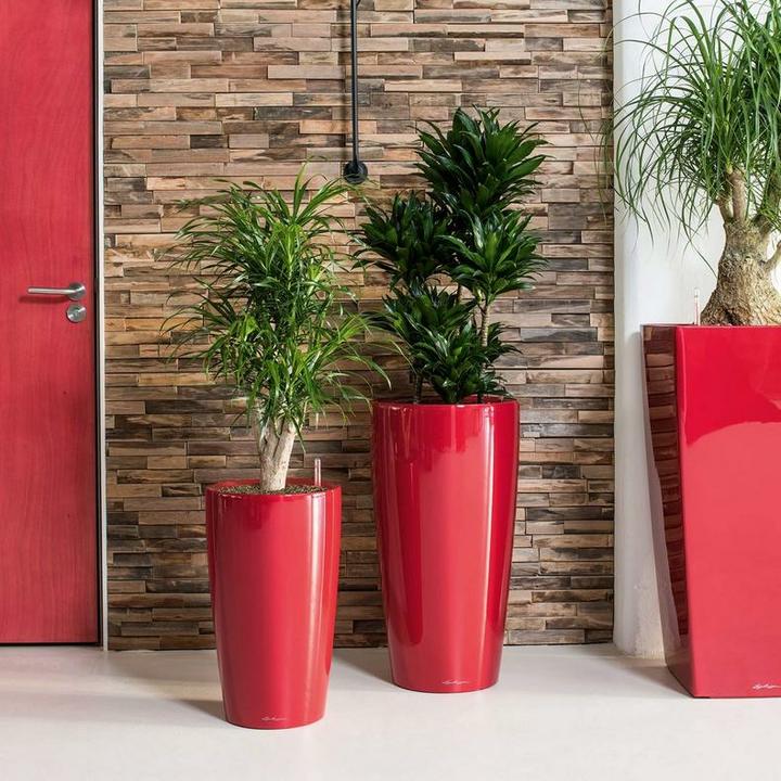 Produktbild Lechuza RONDO Premium. (40 cm)