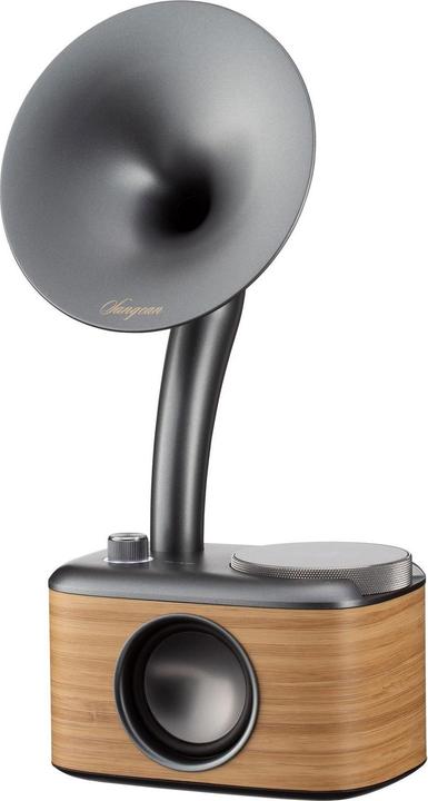 Image du produit Sangean CP 100D (DAB+ DAB, DAB, FM, Bluetooth)