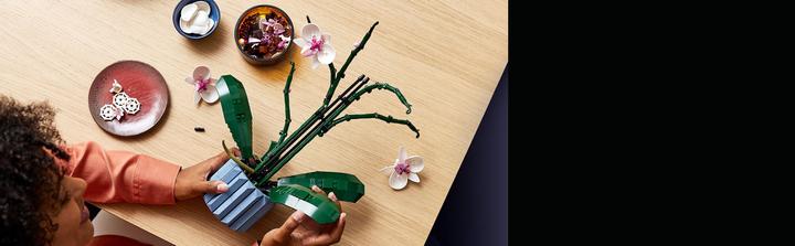 Image du produit LEGO Orchidée (10311, LEGO Botanical)