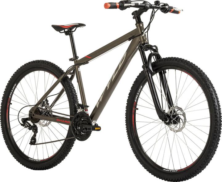 Wyld Mountainbike Hardtail 29" Sharp Scheibenbremse platin-grau 21 Gänge (46 cm)