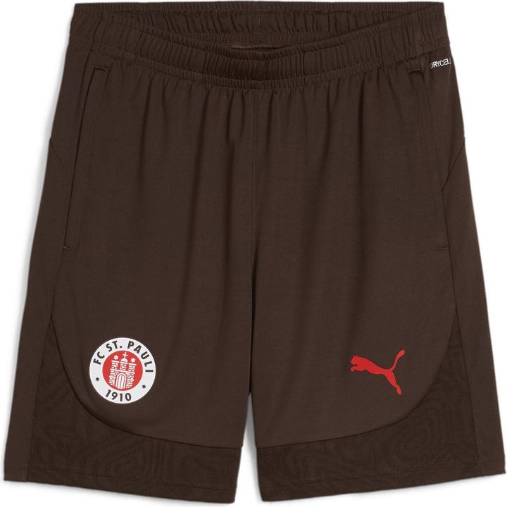 Puma FCSP Training Shorts