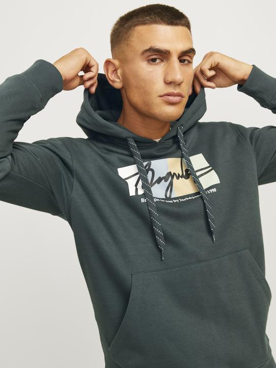 Actual product image Jack & Jones Jorportland Block Sweat Hood Ln (S)