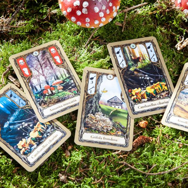 Produktbild Pegasus Fungi (Deutsch)