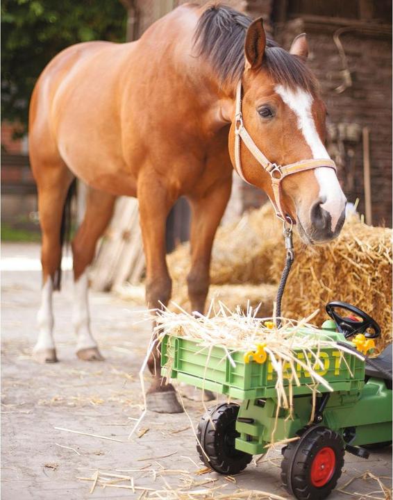 Productafbeelding BIG Fendt