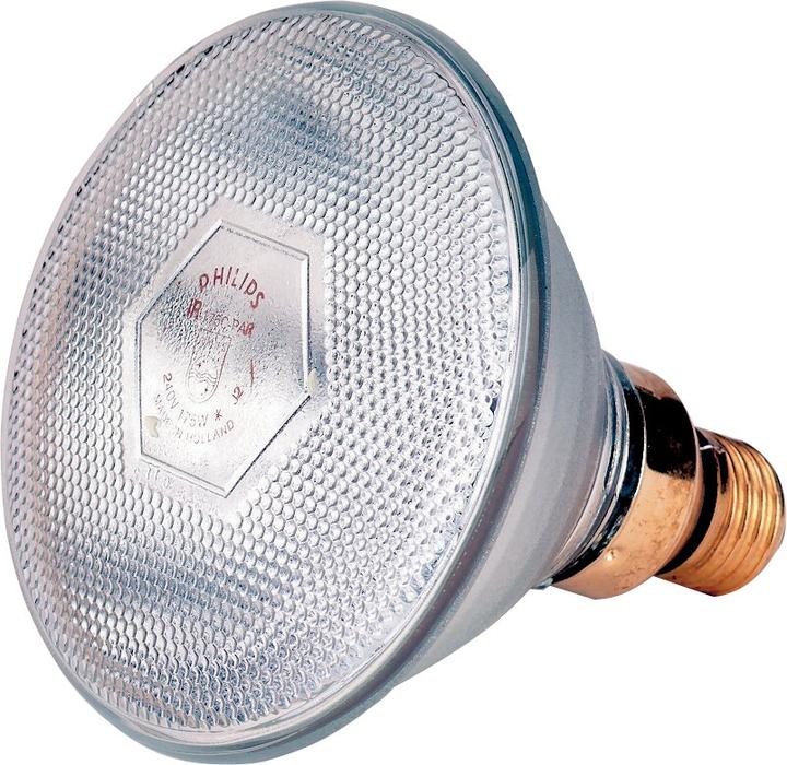 Immagine prodotto Philips Lampada a risparmio energetico chiara PAR38 (100 W)